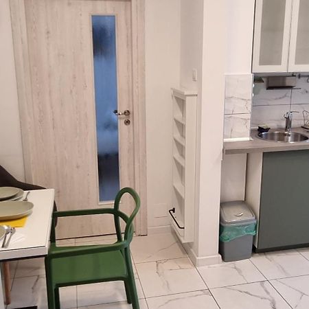 Elisabeta Studio Apartment Bukarest Eksteriør billede